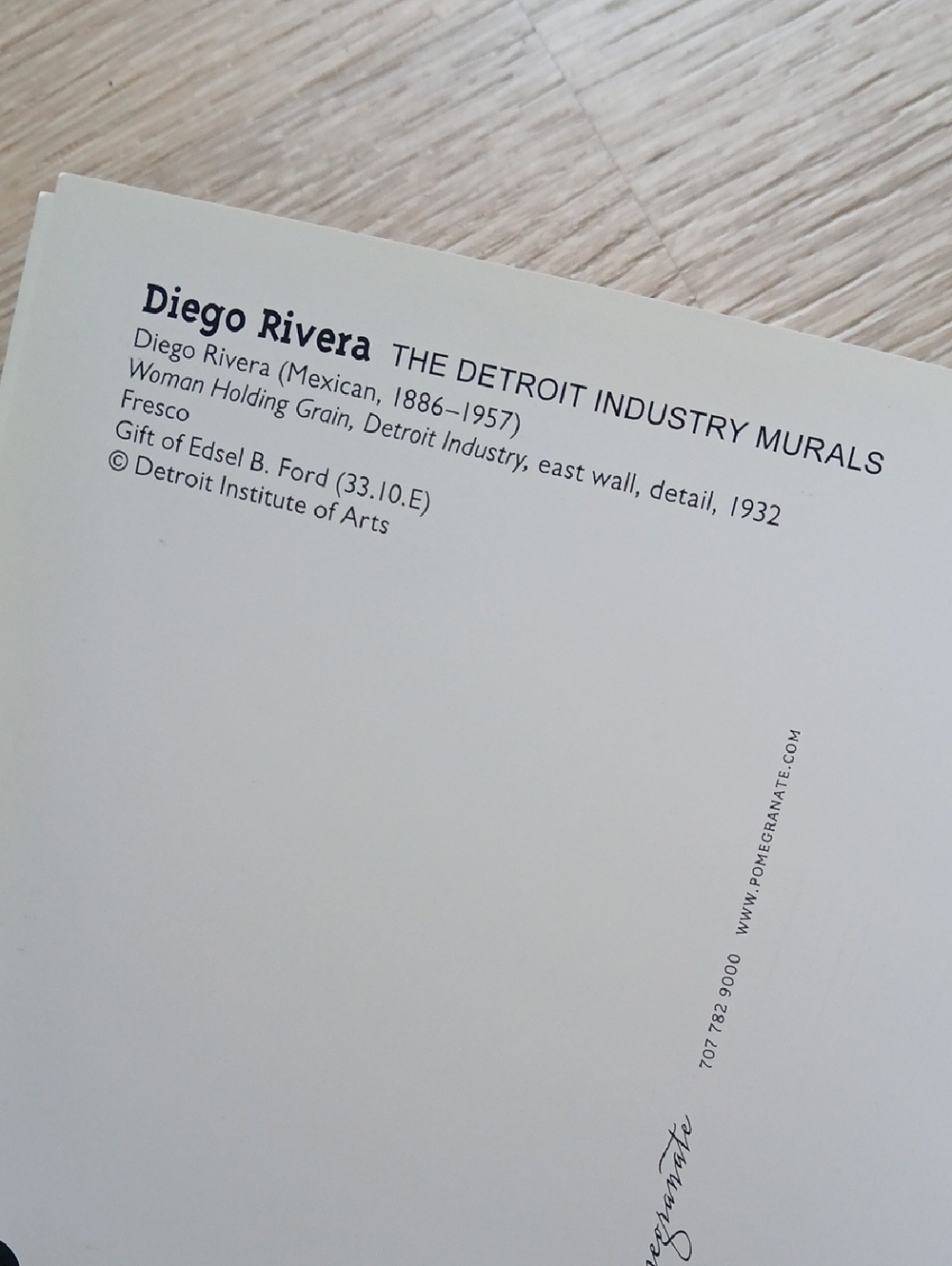 Diego Rivera The Detroit Industry Murals Postcard Book 2007 Imagery Art Gifts - Picture 9 of 15